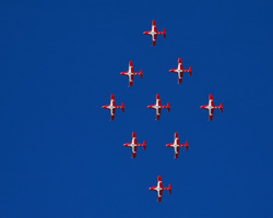 Snowbirds
