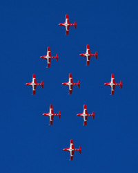 Snowbirds
